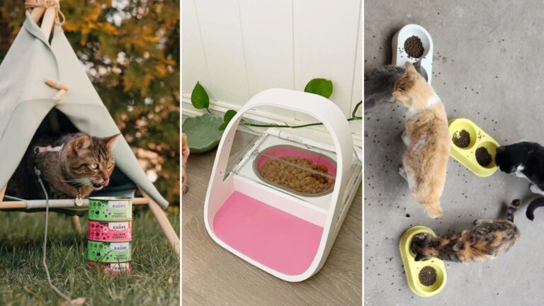 Tired of Messy Meals? 22 Clever Cat Feeding Station Designs!