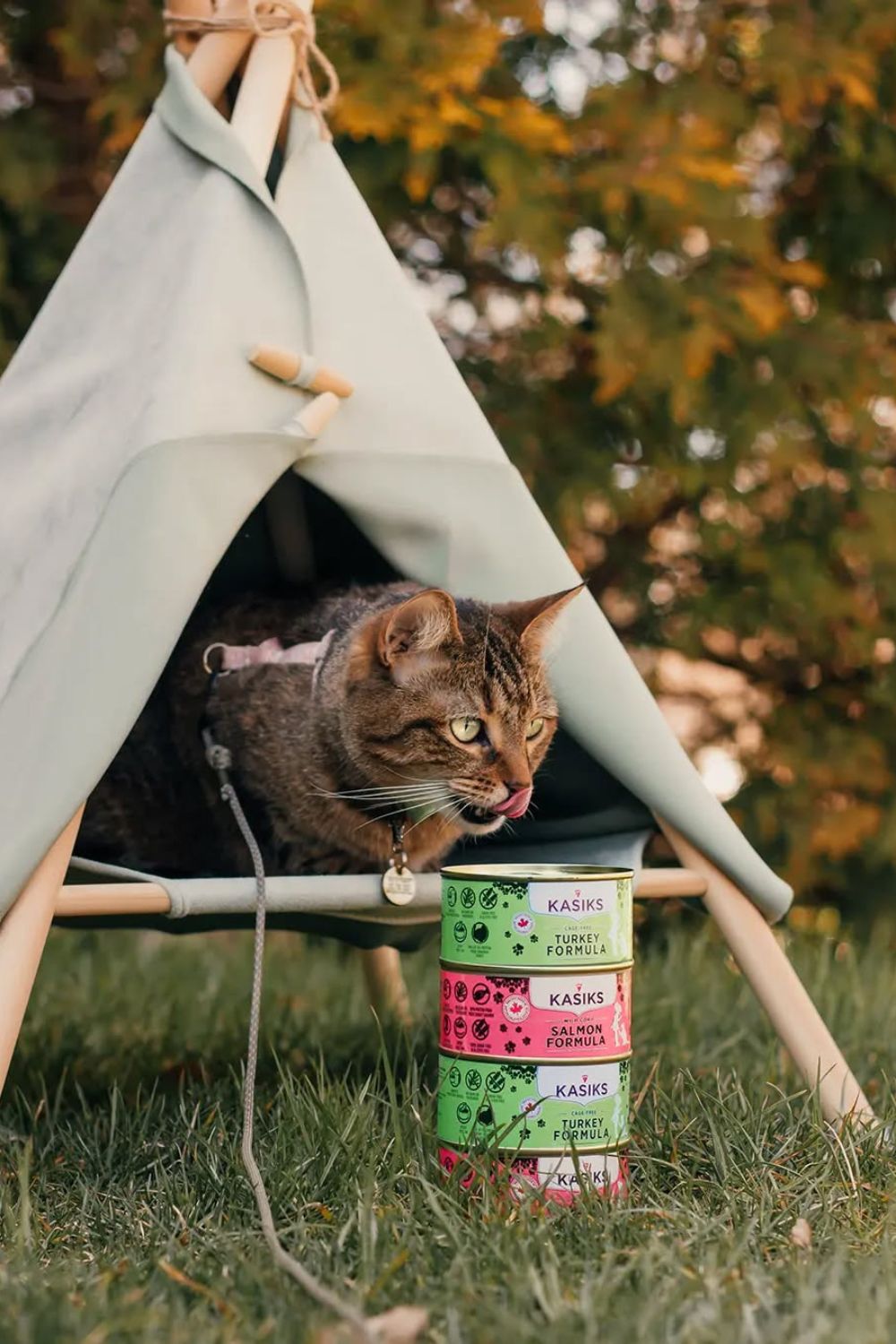 Picture of Tired of Messy Meals? 22 Clever Cat Feeding Station Designs! – Crafty ...
