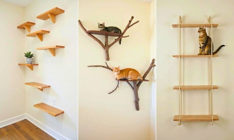 Want Happy Cats? 26 Wall-Mounted Play Space Projects!