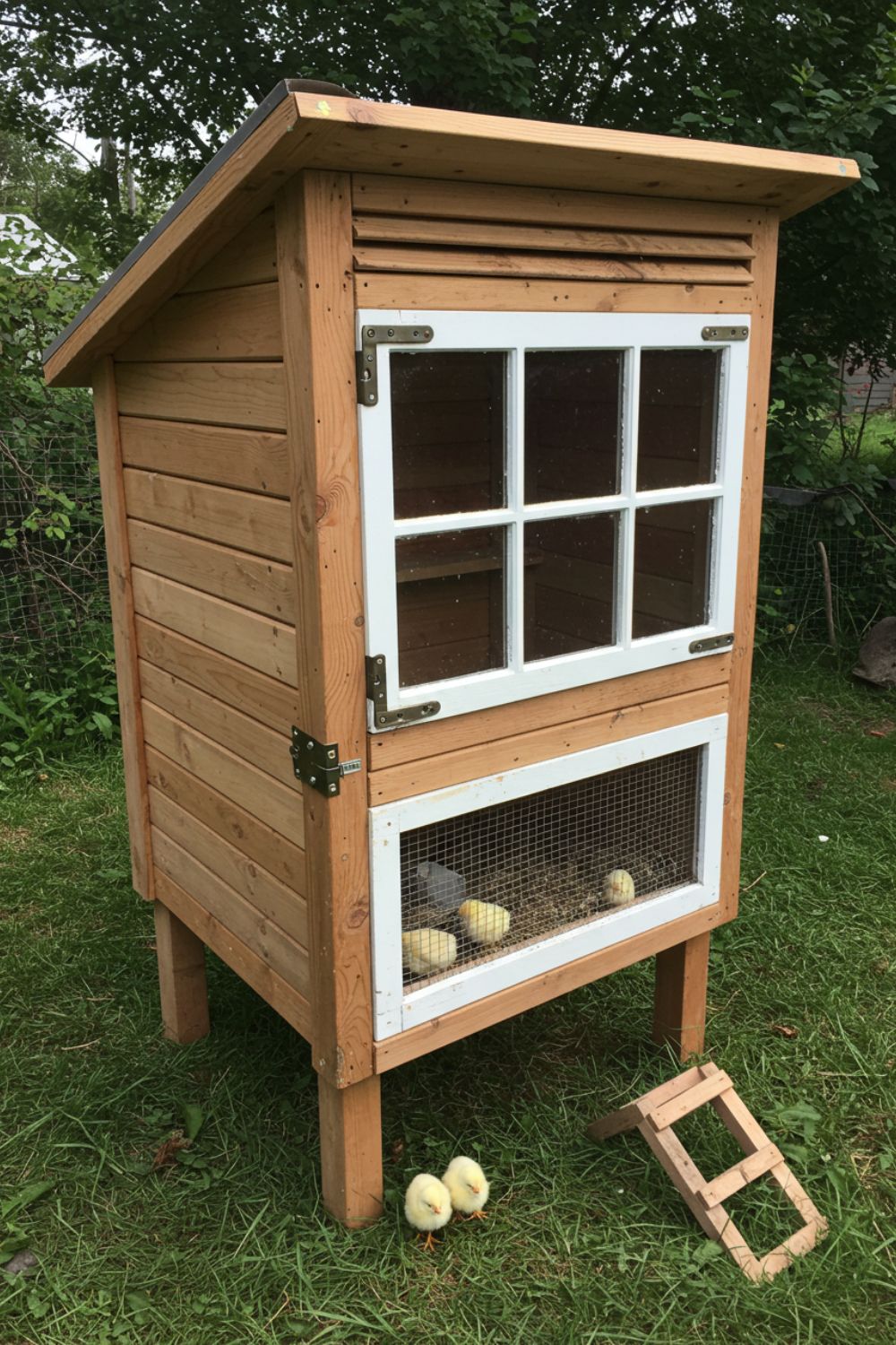 Starting Chicks? 28 Safe & Warm Brooder Box Solutions! – Crafty Sphere